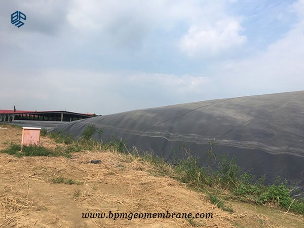 Biogas digester impermeable geomembrane HDPE liner in Mexico Biogas digester impermeable geomembrane HDPE liner in Mexico