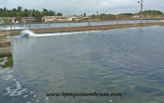 Fish Pond Liner for Aquaculture Project in Sri Lanka