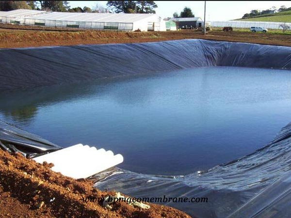 Geomembrane HDPE liner for Water containment application