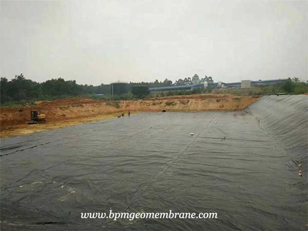 Geomembrane Liner for Fish and Shrimp Pond Project in India