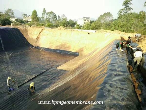 Geomembrane Pond Liner for Fish Pond Project in India