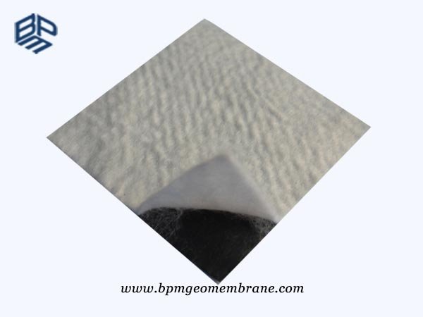 Composite Geomembrane HDPE Liner Home