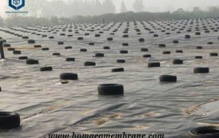 PVC Geomembrane Liner