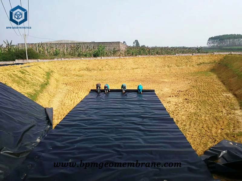 Commercial Pond Liner for Fish Farm Project
