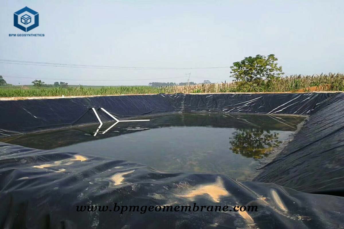 Commercial Pond Liner for Fish Farm Project in Singapore