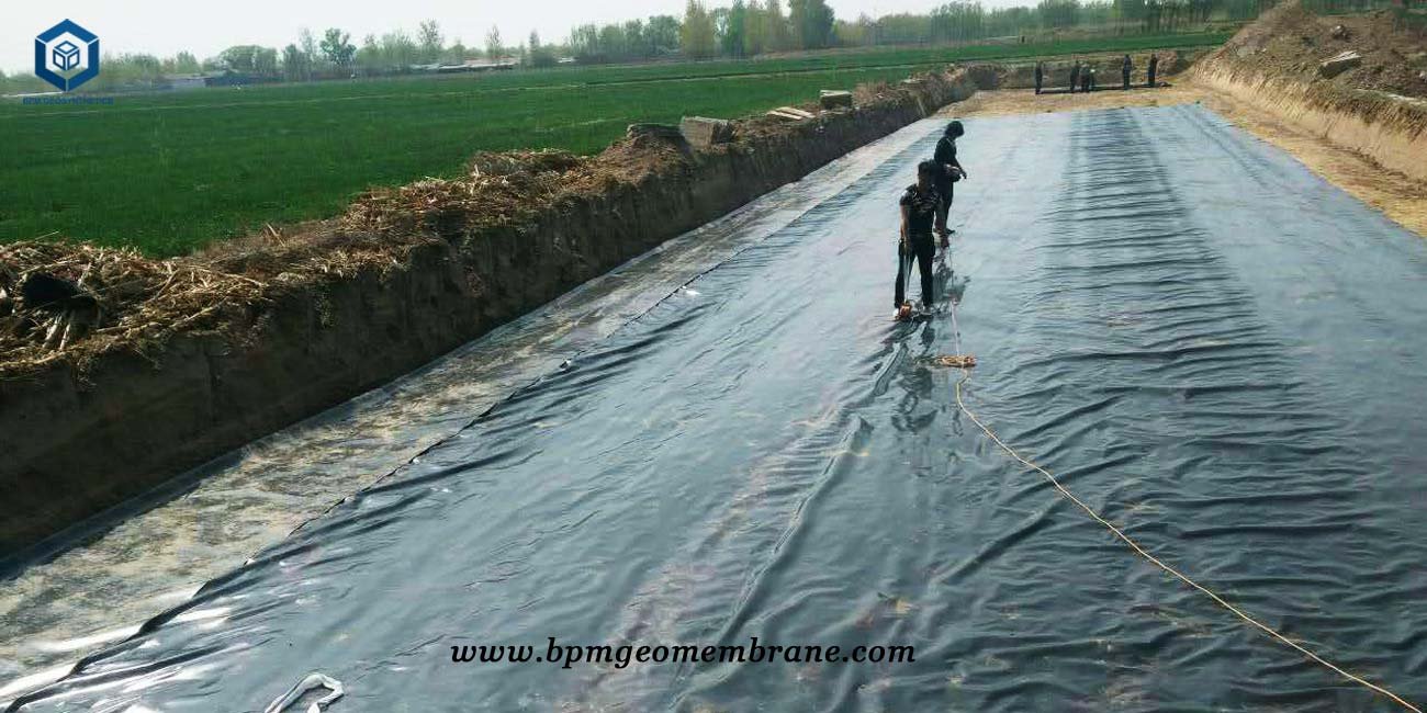 Flexible Pond Liner for Lotus Pond Project