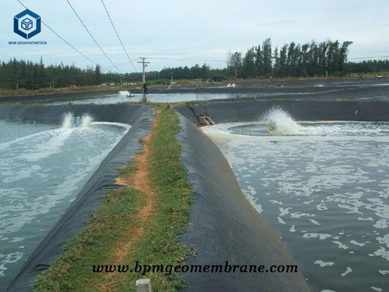 High Density Polyethylene Pond Liner For Fish Farm in Mozambique