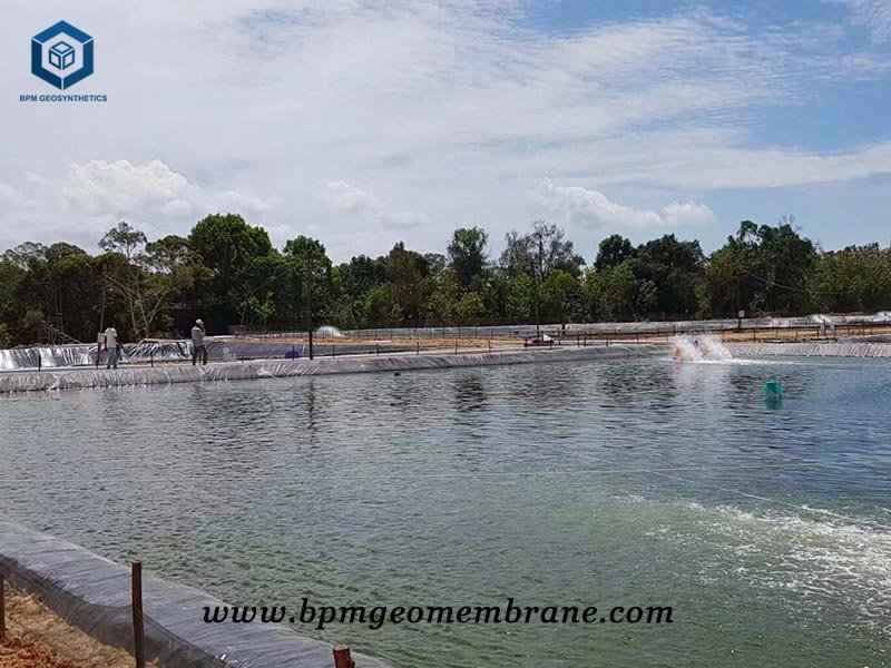 Farm Pond Liner for Aquaculture in Ecuador