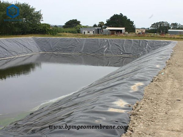 Cheap Pond Liner for Fish Pond Project in India