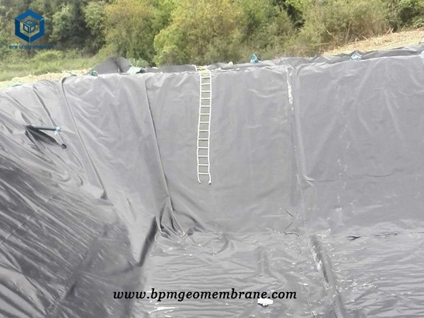 Polyurethane Pond Liner for Aquaculture Farm Project in Philippines