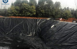 Polyurethane Pond Liner for Aquaculture Farm Projects in Philippines