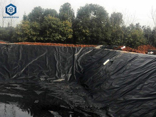 Polyurethane Pond Liner for Aquaculture Farm Projects in Philippines