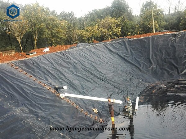 Polyurethane Pond Liner for Aquaculture Projects in Philippines
