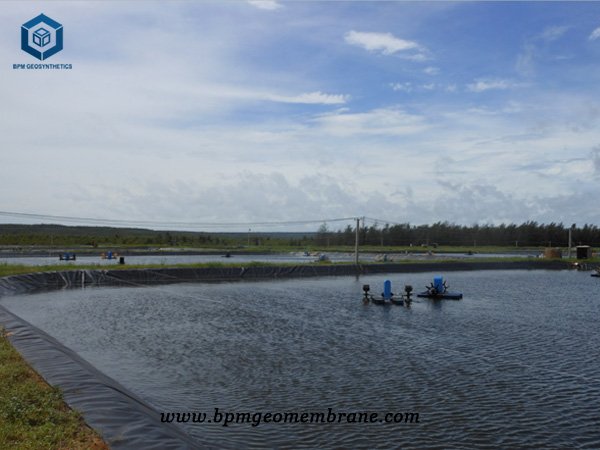 Commercial Pond Liners for Fish Farm Project in Pakistan