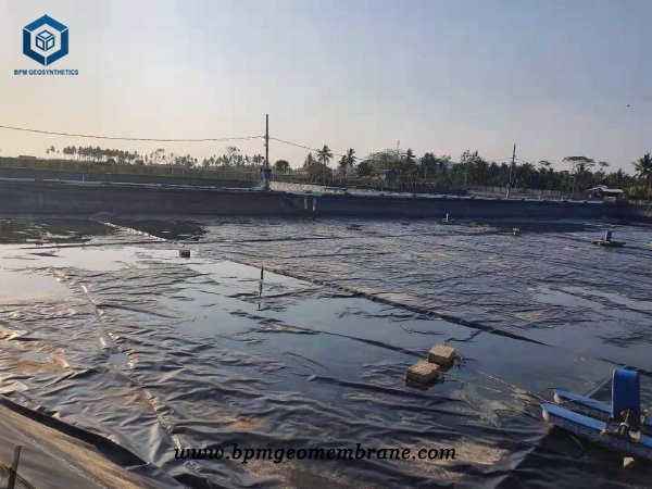 1 mm Pond Liner for Shrimp Ponds in Indonesia