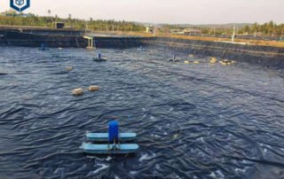 1mm Pond Liner for Shrimp Ponds in Indonesia