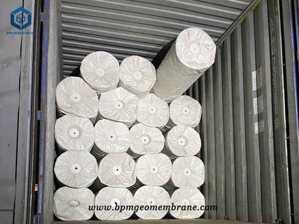 Geomembrane Pond Liner for Sale in Malaysia for Biogas Lagoon Project
