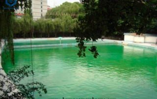 Green Pond Liner for Garden Pond Projects in Canada