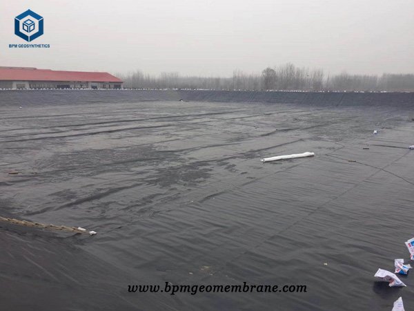 Custom Pond Liners for Fish Farm Project in Malaysia