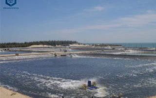 LLDPE Geomembrane Liner for Shrimp Ponds Project in Indonesia