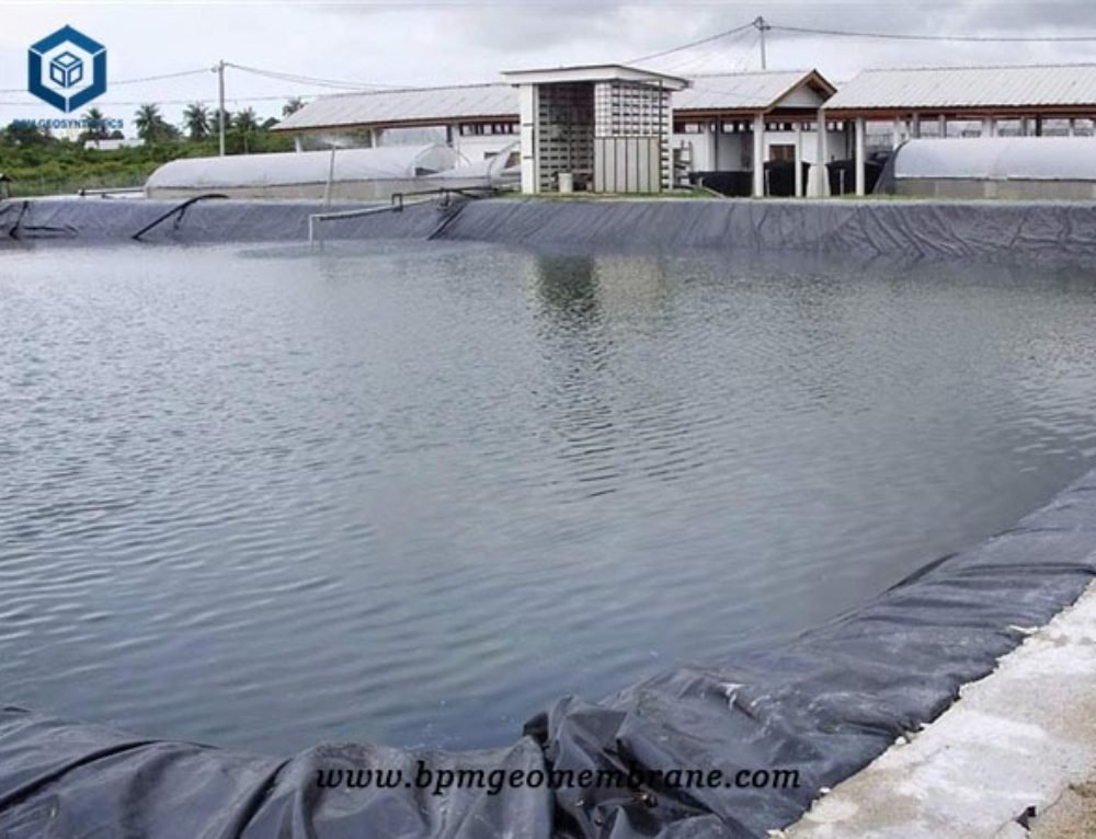 Custom Pond Liners HDPE Pond Liner, Geomembrane Pond Liner
