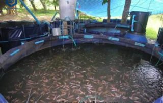 HDPE Lining Water Tank for Fish Projects in Pakistan