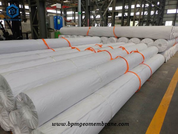 High Density Polyethylene Roll for landfill projects in Chile