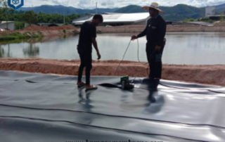 Best Pond Liner Material for Biogas Digester in Thailand