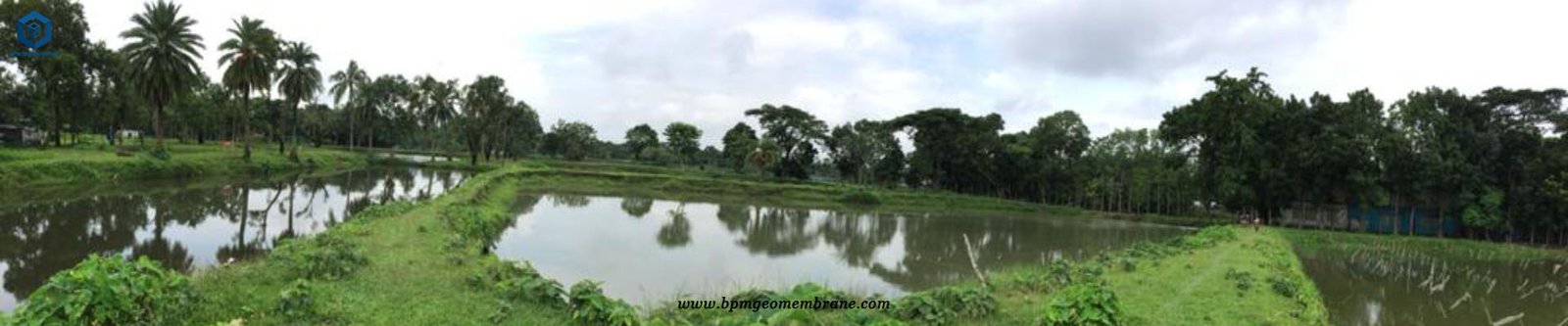 40 mil Pond Liner Fish Farming in Bangladesh