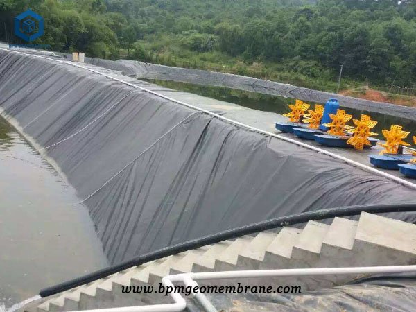 Plastic Fish Pond Liner for Aquaculture Project in Korea