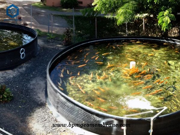 Tank Lining System for Outdoor Fish Tank in Indonesia