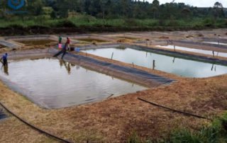 Pond Liner Plastic Sheeting for Fish Pond Project in Kenya