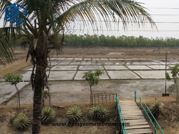 Goldfish Pond Liner for Fish Ponds in Bangladesh