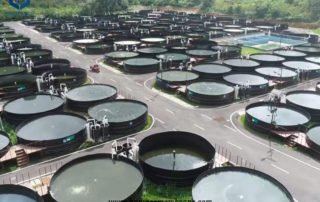Thick Rubber Pond Liner for Fish Tank Projects in Philippine