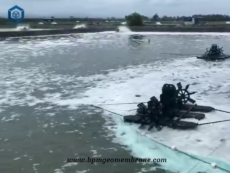 HDPE Impermeable Pond Liner for Shrimp Pond Project in Indonesia