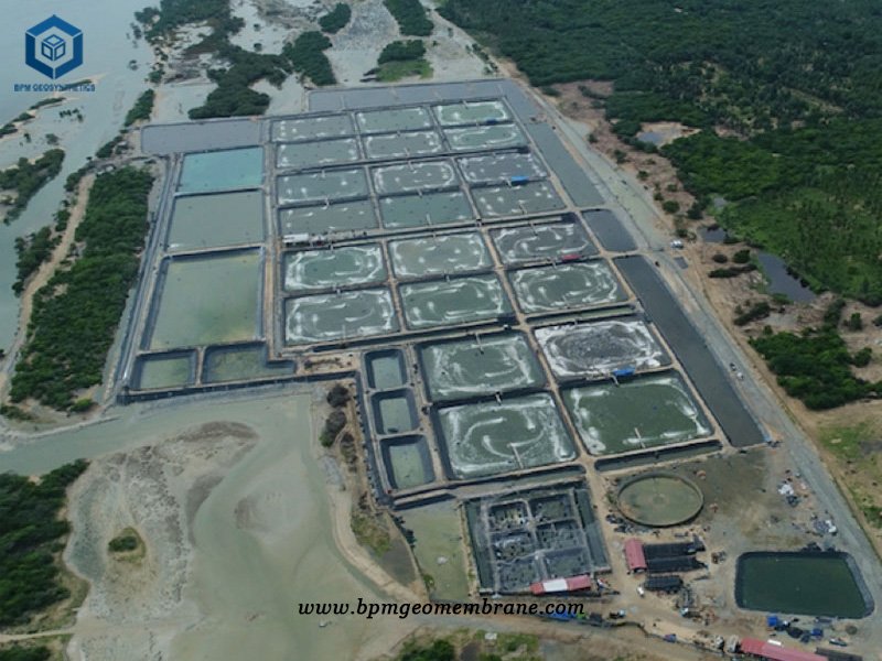 HDPE Fish Pond Rubber Liner Farm Ponds in Indonesia