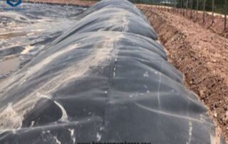 HDPE Pool Liners for Fish Ponds for Biogas Projects in Myanmar