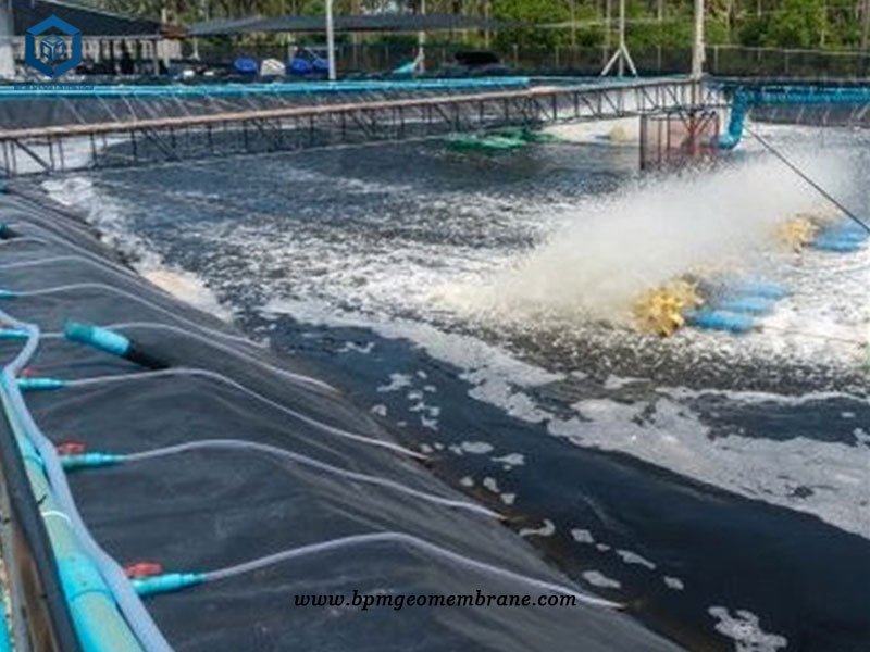 Impermeable Geomembrane Liner for Shrimp Farming Pond in Ecuador
