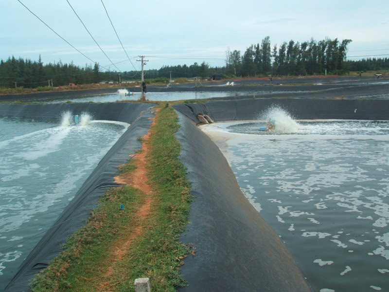 Geomembrana Liner Installation for Water Containment