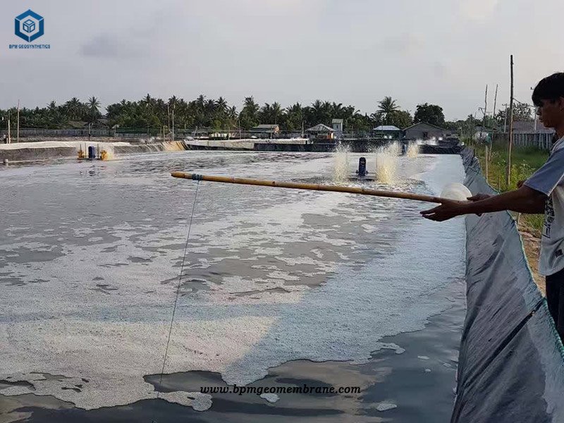 0.5mm HDPE Pond Liner Thickness for Fish Pond