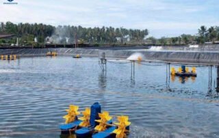 LLDPE vs HDPE Pond Liner