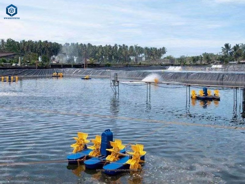 LLDPE vs HDPE Pond Liner