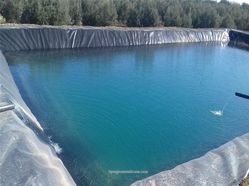 waterproofing membrane supplier