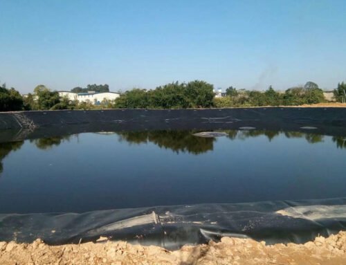 Ultimate Guide to Koi Fish Pond Liner