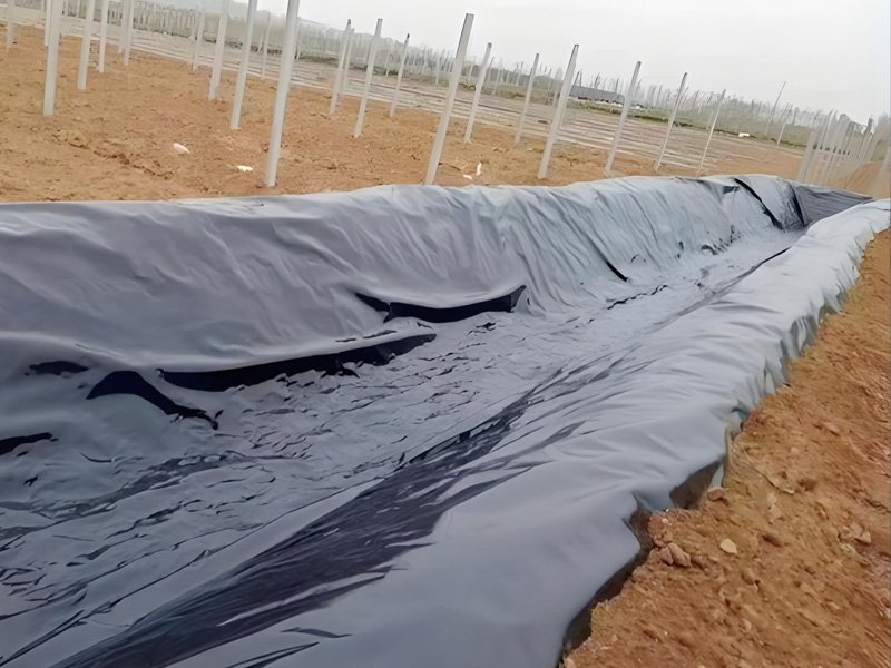 Best Geomembrane Price For Ditch