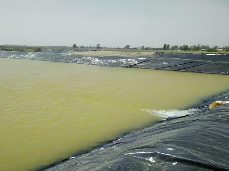 Best Pond Liner Suppliers In the World