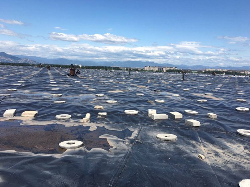 Disadvantages of HDPE Geomembrane