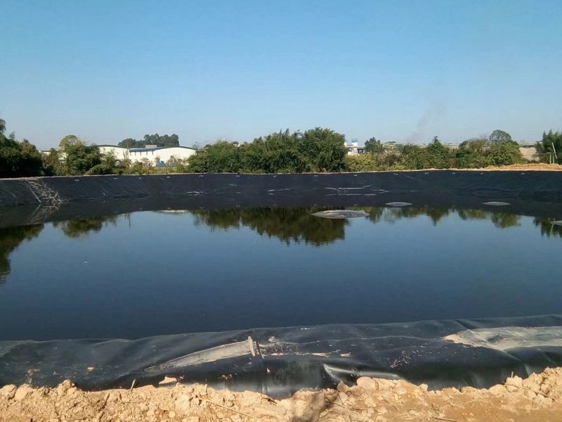 Fish Pond Geomembrane Cost