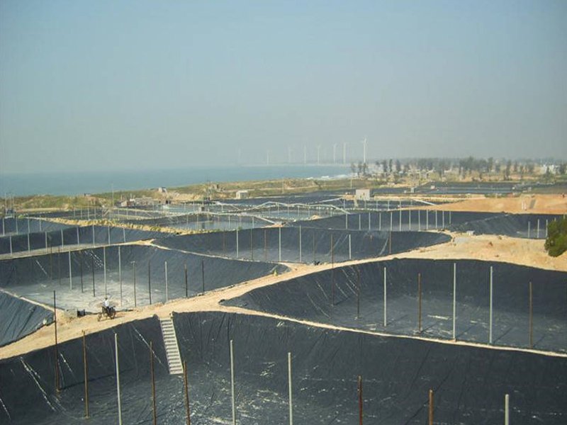 Geomembrane Life Expectancy
