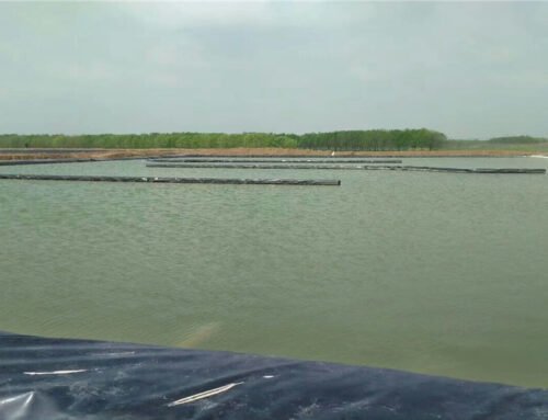 What Is Geomembrane Pond Liner and Its Applications